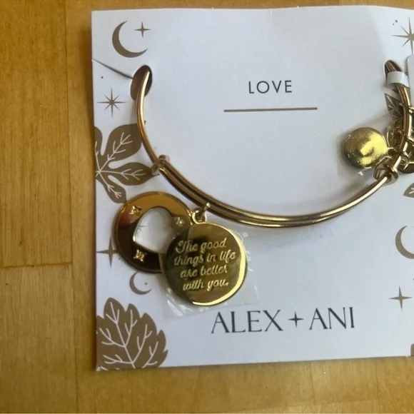 NEW Alex and Ani 'Positive Energy' Bangle Bracelet - Never Worn - Picture 2 of 7